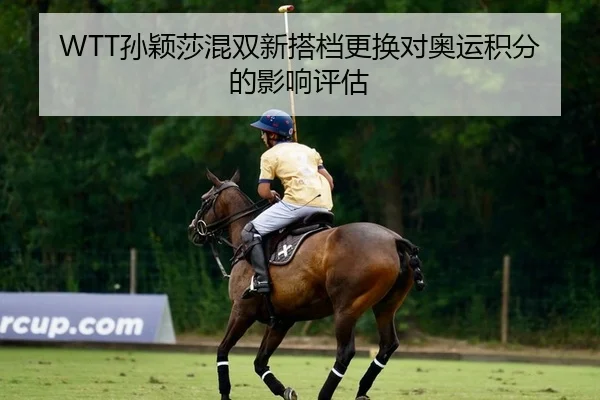 WTT孙颖莎混双新搭档更换对奥运积分的影响评估（Leyu）